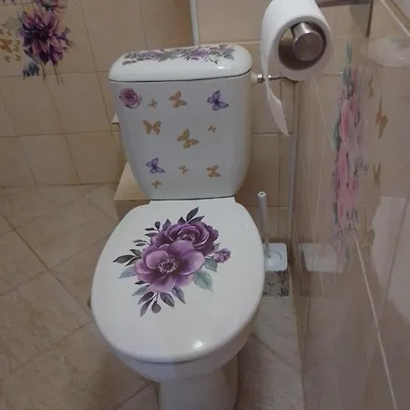 студио свежест