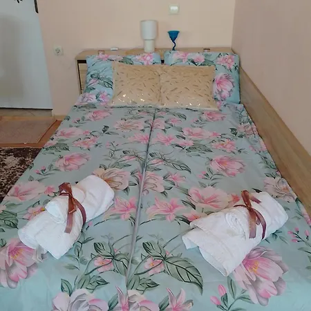 студио свежест *