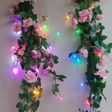 студио свежест Lejlighed Pomorie