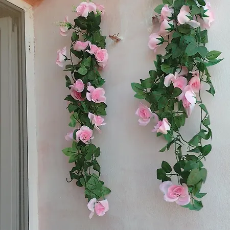 студио свежест * Pomorie