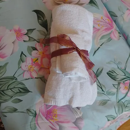 דירה студио свежест