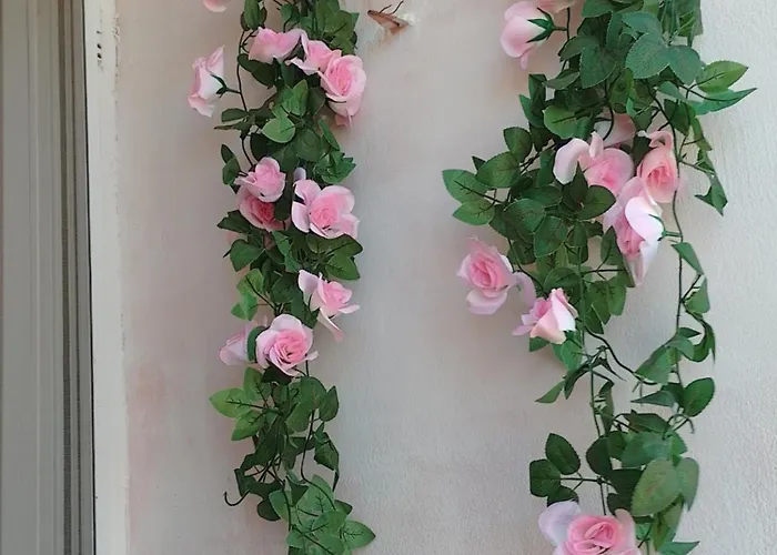 студио свежест * פומורי