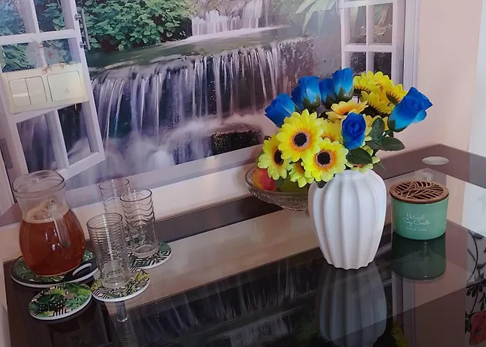 студио свежест *